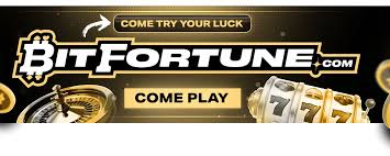 Bitfortune Live Table Experience What You Should Know