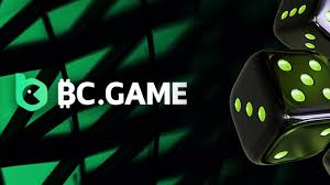 Experience Gaming on the Go with the BC.Game Mobile App