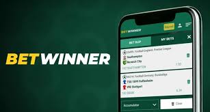BetWinner Online Casino Your Gateway to Exciting Gaming